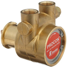 Load image into Gallery viewer, Procon - Rotary Vane Series 4 - Brass Pumps - Clamp On - 1/2&quot; NPT - Isopure Water - 104B140F31BA200
